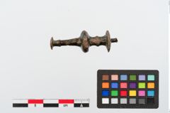 Foto von Bronzenadelspitzenschoner (NHMW-PRAE-024347)